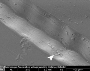Rowek płyty winylowej, zdjęcie mikroskopowe